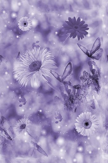 874288-意境菊花4