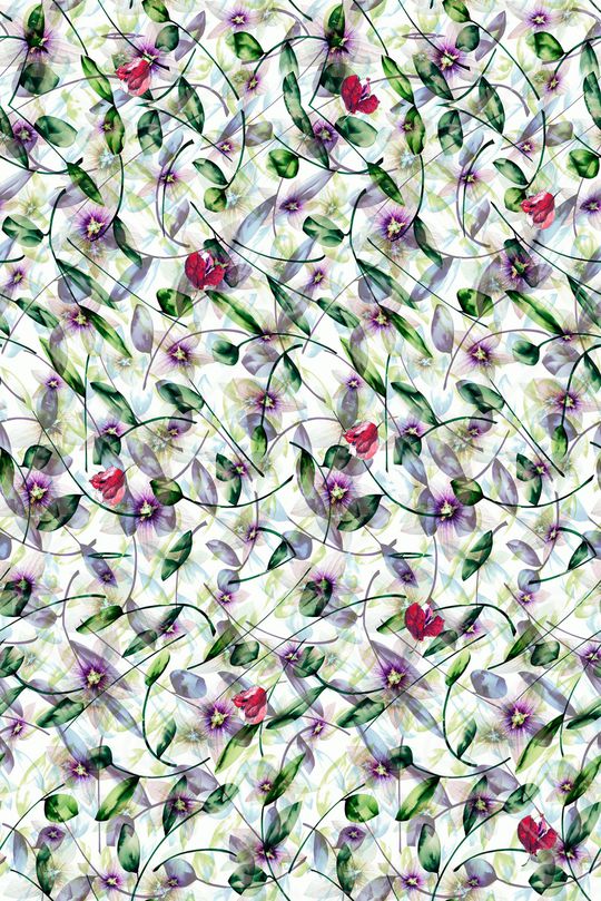 植物花卉印花华亿平台图片