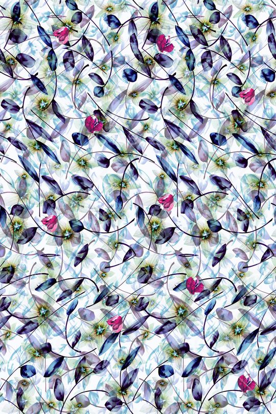 植物花卉印花华亿平台图片