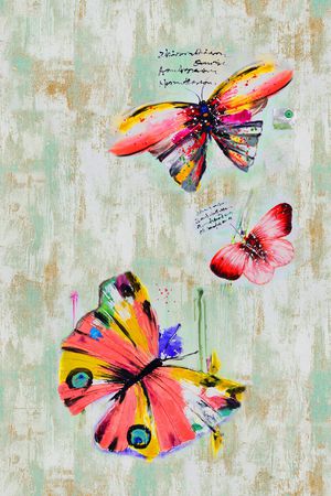 蝴蝶印花华亿平台图片