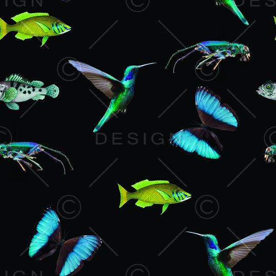 鱼印花华亿平台图片