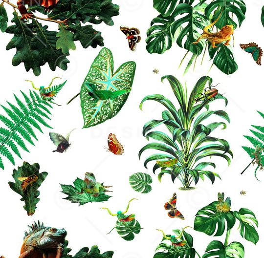 热带植物印花华亿平台图片