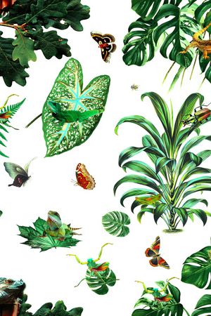 热带植物印花华亿平台图片