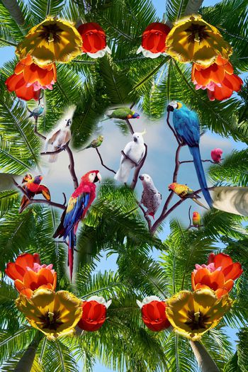 热带印花华亿平台图片