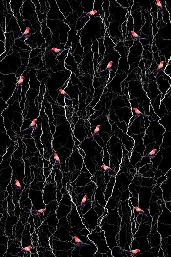 闪电印花华亿平台图片