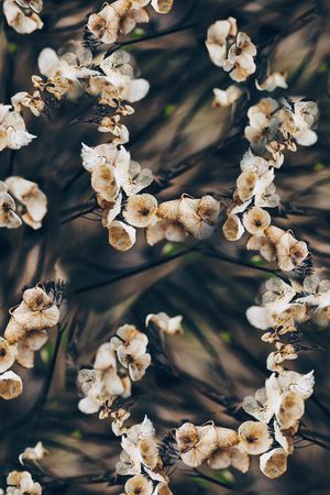 枯萎花卉印花华亿平台图片