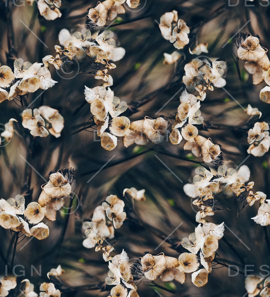 枯萎花卉印花华亿平台图片