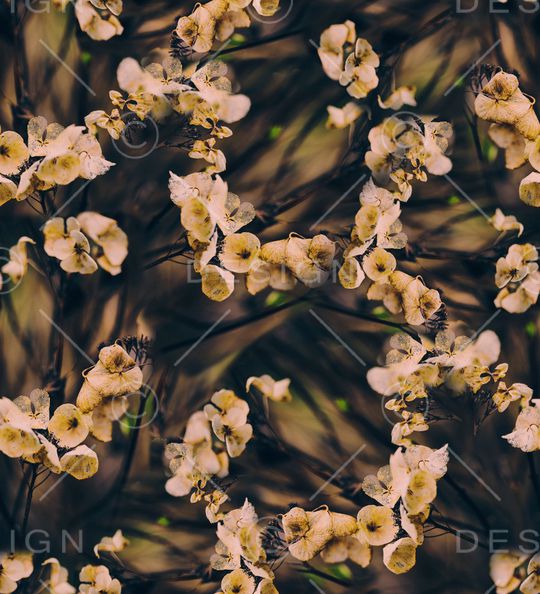 枯萎花卉印花华亿平台图片