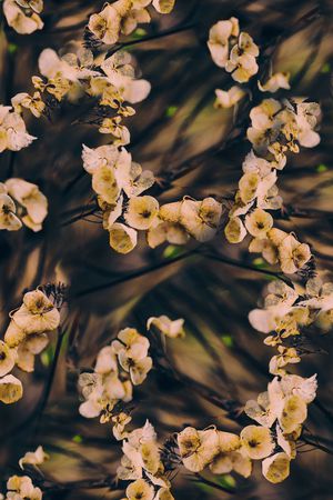 枯萎花卉印花华亿平台图片