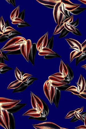 简单印花华亿平台图片