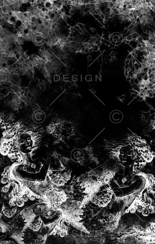 黑白印花华亿平台图片