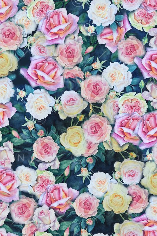 玫瑰印花华亿平台图片