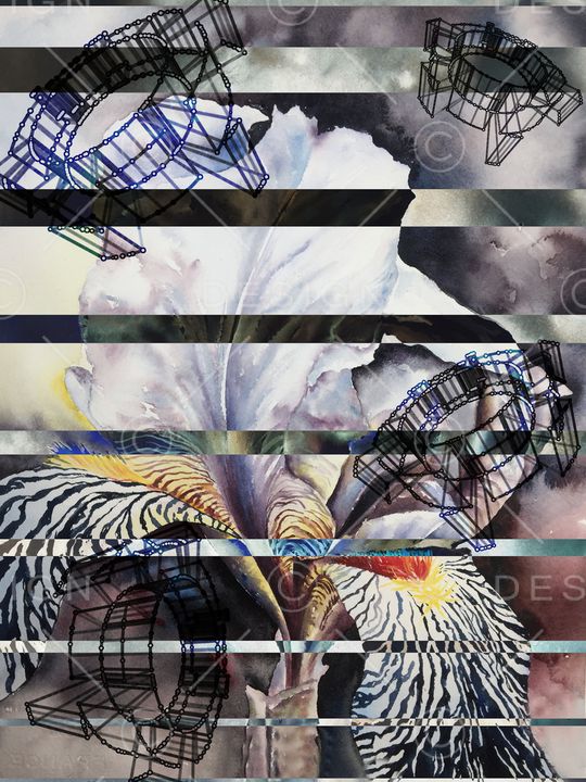 大花印花华亿平台图片