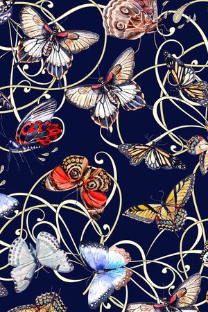 蝴蝶印花华亿平台图片