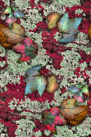 抽象印花华亿平台图片