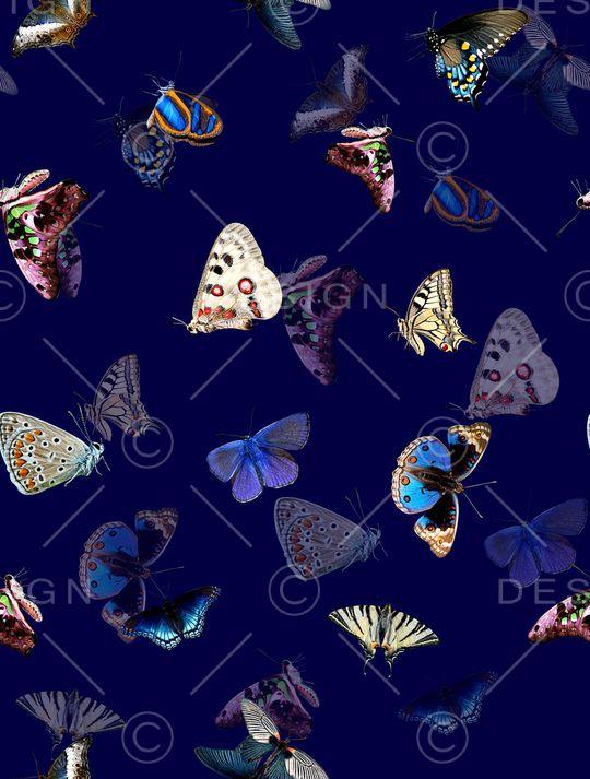 动物印花华亿平台图片