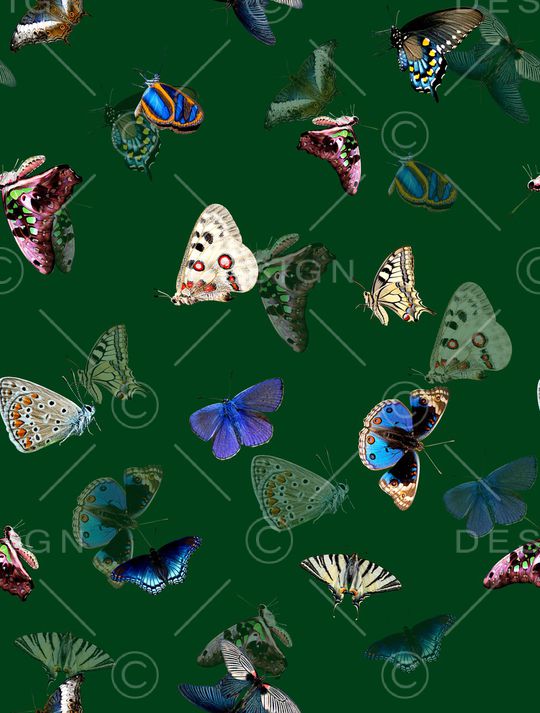 动物印花华亿平台图片