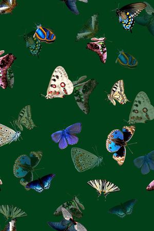 动物印花华亿平台图片