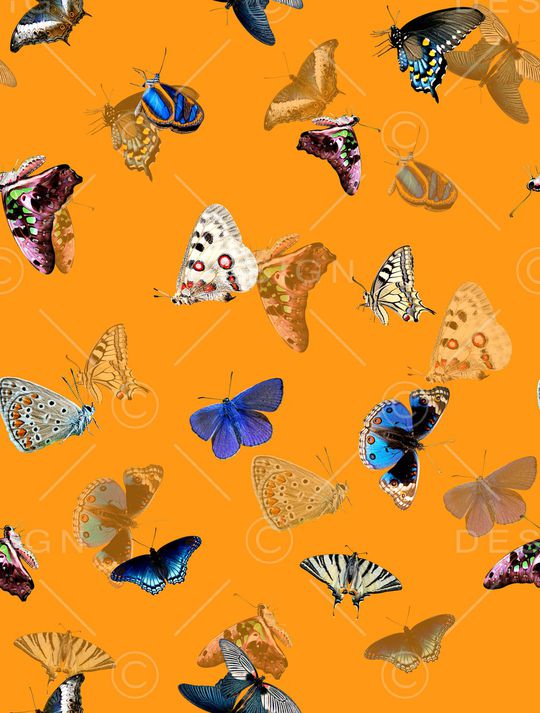 动物印花华亿平台图片