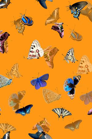 动物印花华亿平台图片