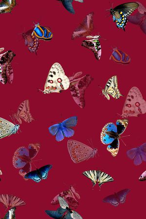 动物印花华亿平台图片