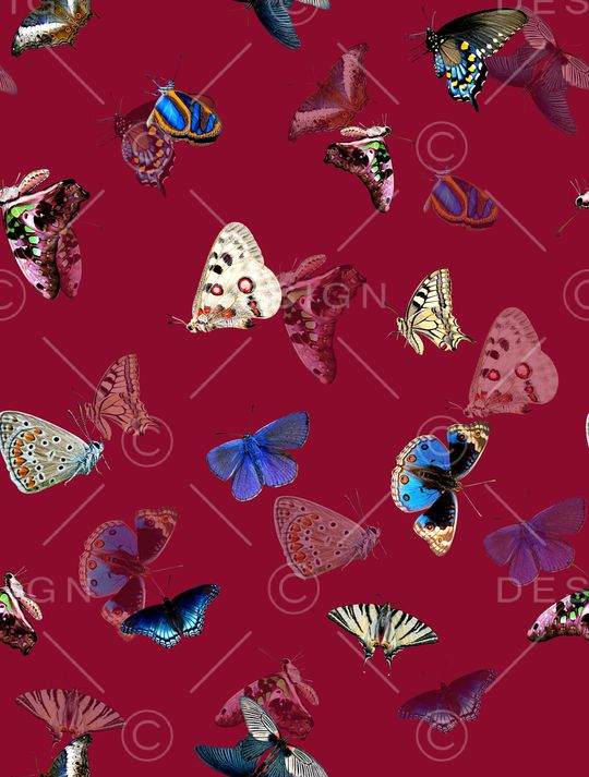 动物印花华亿平台图片