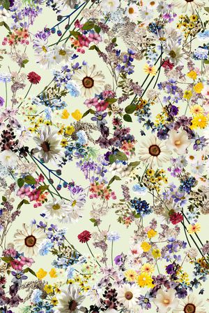 Dennis印花华亿平台图片