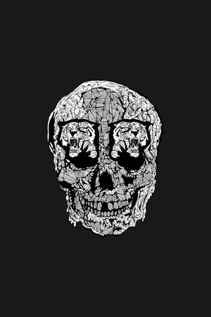 骷髅头印花华亿平台图片