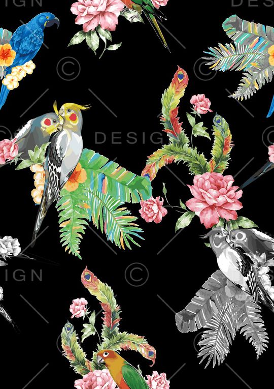 鹦鹉印花华亿平台图片