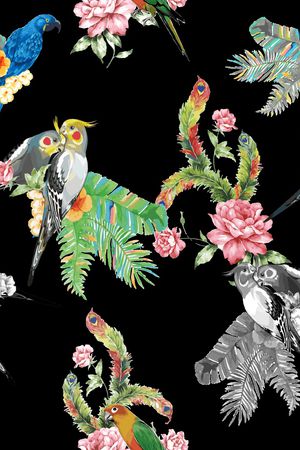 鹦鹉印花华亿平台图片