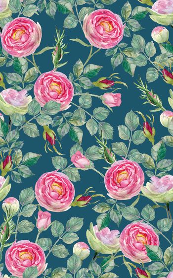 878449-20170623 rose