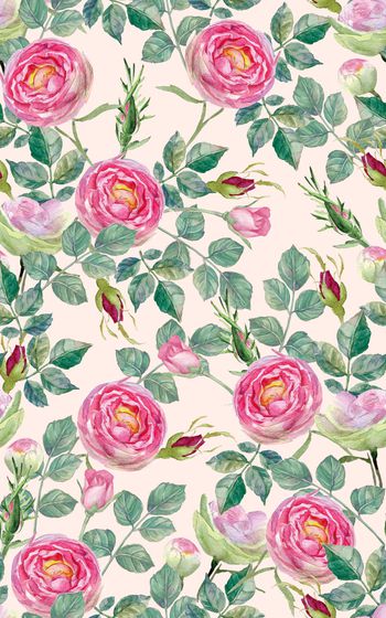 878453-20170623 rose-1