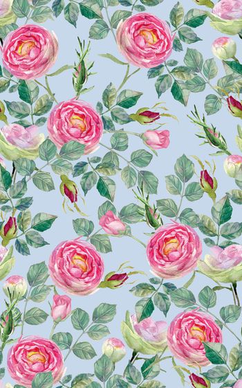 878456-20170623 rose-2