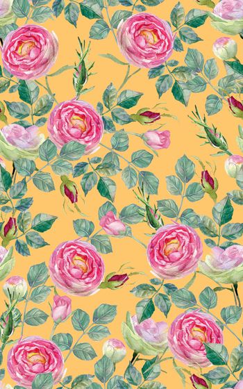 878459-20170623 rose-4