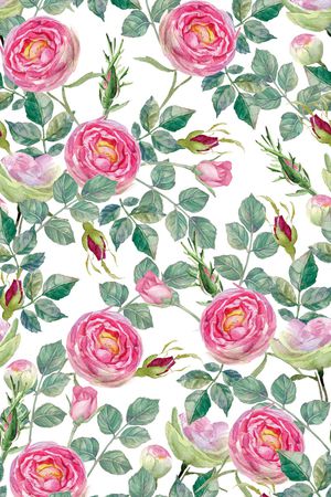 玫瑰印花华亿平台图片