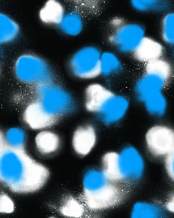 波点印花华亿平台图片