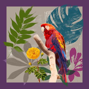 鹦鹉印花华亿平台图片