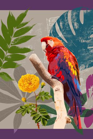 鹦鹉印花华亿平台图片