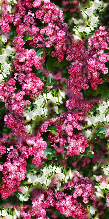 花朵印花华亿平台图片