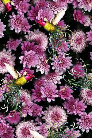 花朵印花华亿平台图片