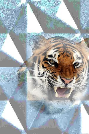 抽象印花华亿平台图片