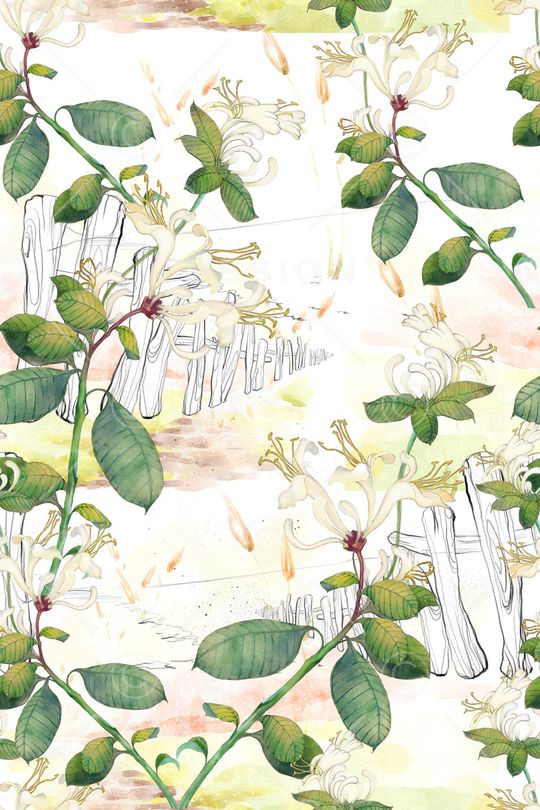 玉兰花印花华亿平台图片