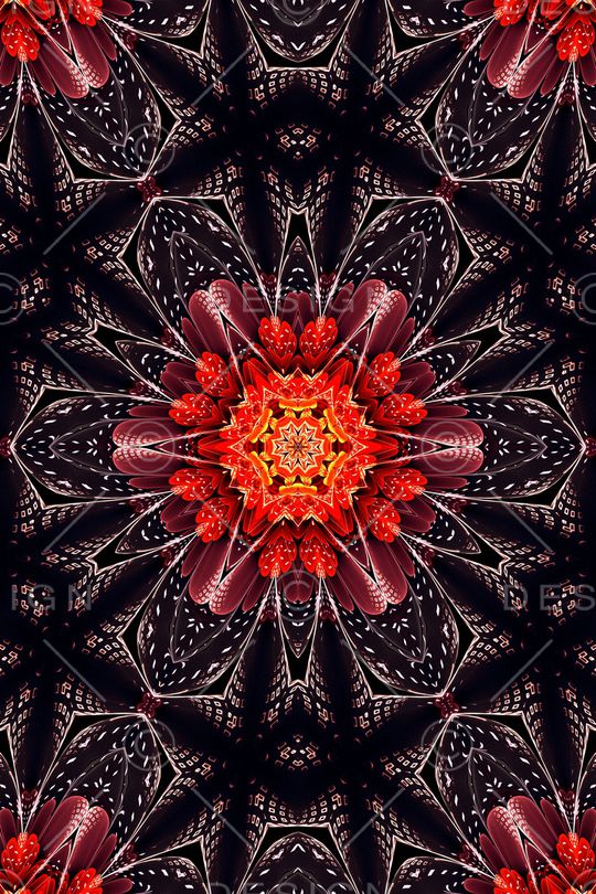 女装印花华亿平台图片