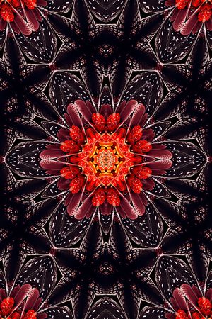 女装印花华亿平台图片