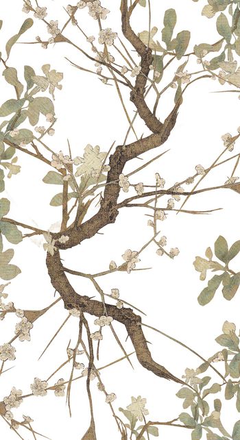 根茎印花华亿平台图片