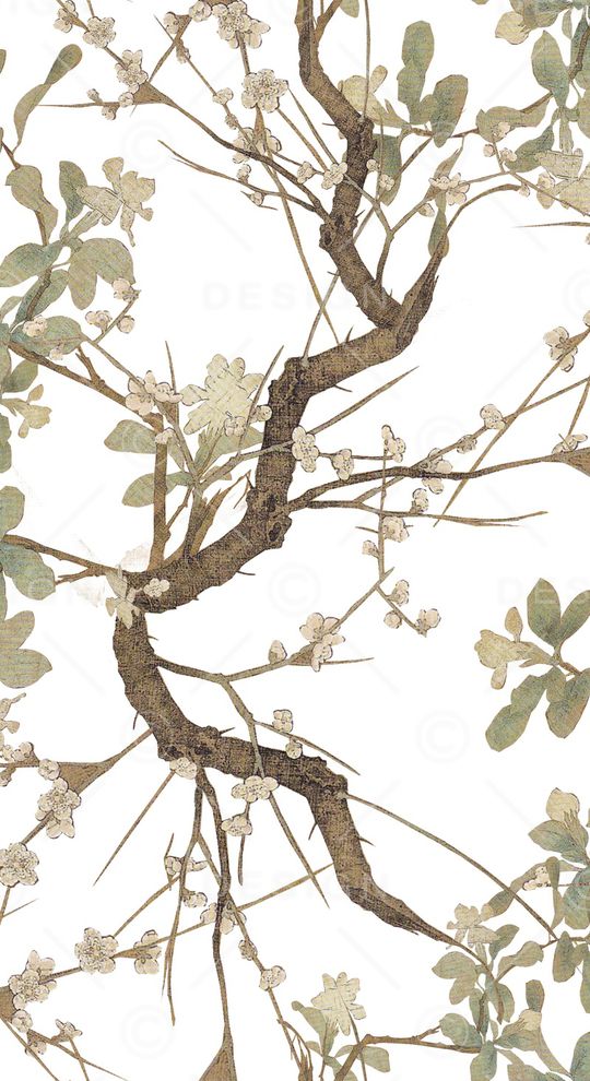 根茎印花华亿平台图片