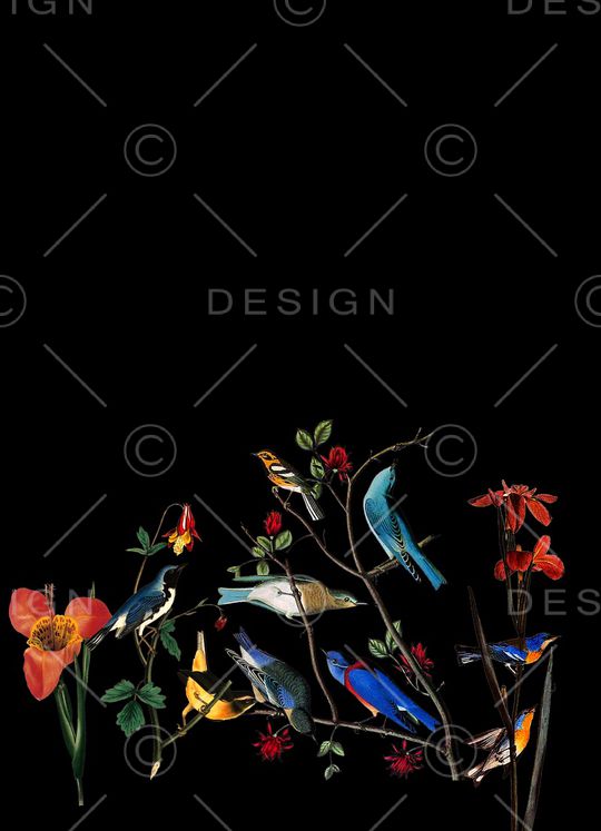 D&G印花华亿平台图片