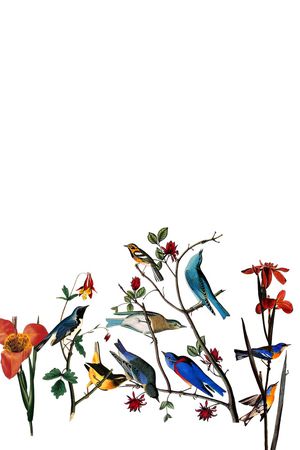 D&G印花华亿平台图片