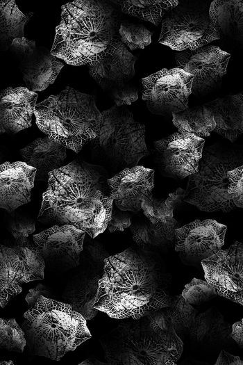 创意抽象印花华亿平台图片