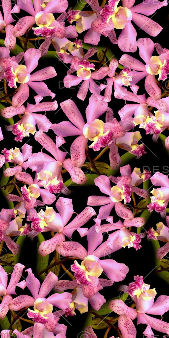 花朵印花华亿平台图片